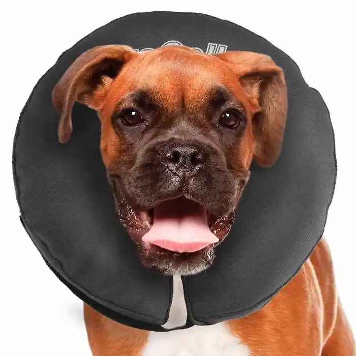 ZenPet Uppblåsbar Halskrage För Hund XL Trygg betalning